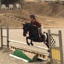 Hidden Fox Farm - My! That Pony can Jump!