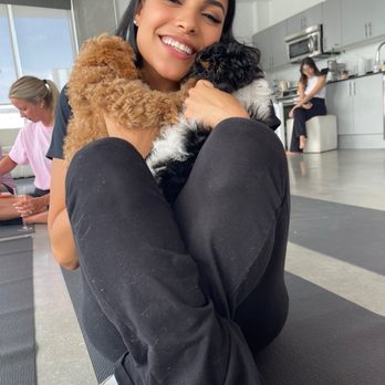 Puppy Sphere - Yoga Near Me - Miami, Florida Puppy Sphere - Yoga Near Me - Miami, Florida