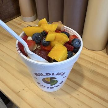 Wildlife açaí - DIY acai bowl - Acai Bowls Near Me - Pinellas Park, Florida Wildlife açaí - DIY acai bowl - Acai Bowls Near Me - Pinellas Park, Florida