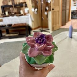 Deep Creek Pottery - My finished succulent