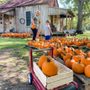 Photo of The Country Pumpkin