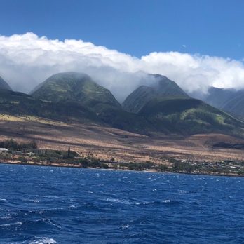 Pacific Whale Foundation - Just a sample of shore scenery. Really prettier than this photo reveals. - Community Service/Non-Profit Near Me - Wailuku, Hawaii Pacific Whale Foundation - Just a sample of shore scenery. Really prettier than this photo reveals. - Community Service/Non-Profit Near Me - Wailuku, Hawaii