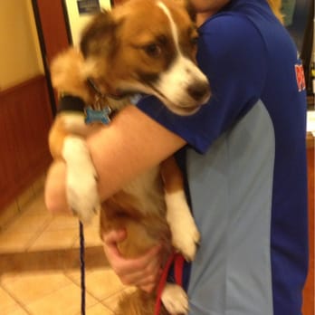PetSmart - Duncan is so happy to see his friends!! - Pet Stores Near Me - Brea, California