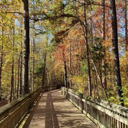 Four Mile Creek Greenway - Matthews