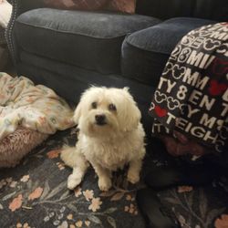 Liquorland Warehouse - My pup, Sydney, is always welcomed, and I love how friendly everyone is