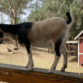 Greenspot Farm - Farmers Market Near Me - Mentone, California