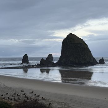 Hallmark Resort & Spa Cannon Beach - Elk heard and Haystack Rock - Resorts Near Me - Cannon Beach, Oregon Hallmark Resort & Spa Cannon Beach - Elk heard and Haystack Rock - Resorts Near Me - Cannon Beach, Oregon
