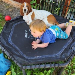 The Briar Patch Child Care