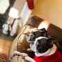 Photo of Erin Belisle Photography