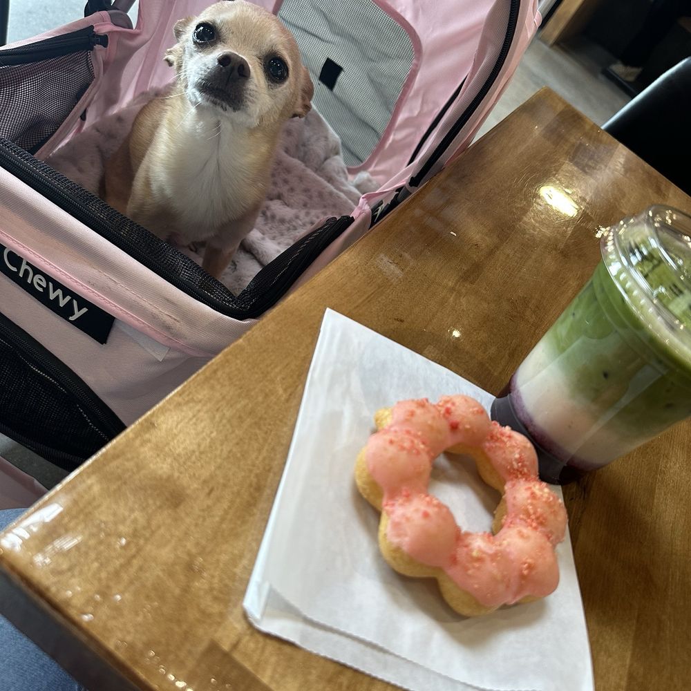 Aware Coffee - Berry Matcha Latte with oat milk and strawberry shortcake mochi donut - Coffee & Tea Near Me - Las Vegas, Nevada Aware Coffee - Berry Matcha Latte with oat milk and strawberry shortcake mochi donut - Coffee & Tea Near Me - Las Vegas, Nevada