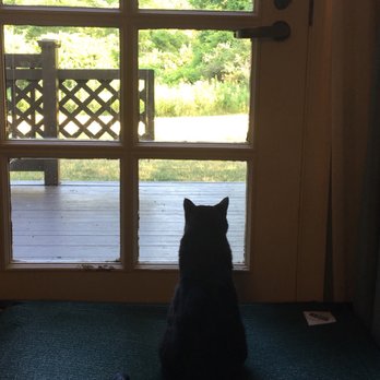 La Tourelle - Watching the animals outside - Hotels Near Me - Ithaca, New York