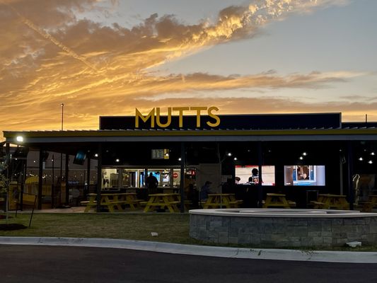 MUTTS Canine Cantina® - Austin by null