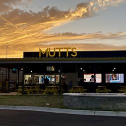 The Tailgate ATX - Golden Hour at Mutts