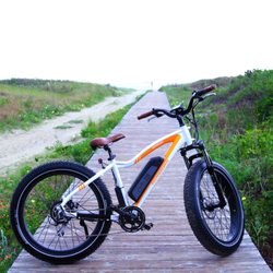 Rebellion Roads