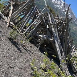 Eklutna Lakeside Trail