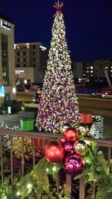 The Shops At The Bravern by null