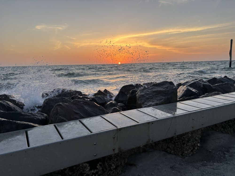 Honeymoon Island State Park Image