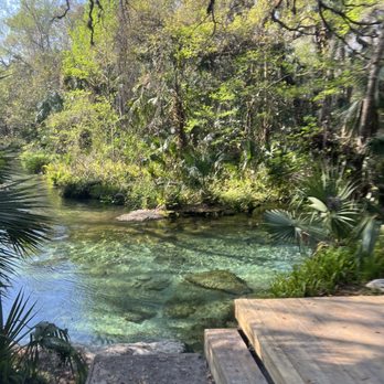 Kelly Park - So beautiful - Hiking Near Me - Apopka, Florida Kelly Park - So beautiful - Hiking Near Me - Apopka, Florida
