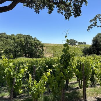 Austin Hope & Treana Tasting Cellar - Wine Tasting Room Near Me - Paso Robles, California Austin Hope & Treana Tasting Cellar - Wine Tasting Room Near Me - Paso Robles, California