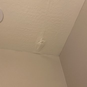 Pigeon Solutions - Drywall damage. - Pest Control Near Me Pigeon Solutions - Drywall damage. - Pest Control Near Me