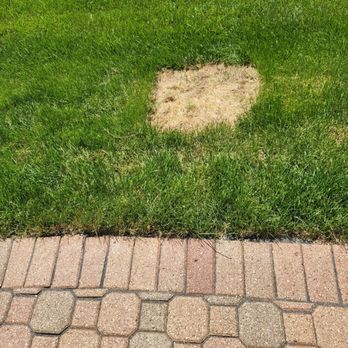 Nu Again Hardscape Restoration - Ruined grass from where they placed patio umbrella on slope of my yard and never returned as promised to place it back on my patio - Masonry/Concrete Near Me - Batavia, Illinois Nu Again Hardscape Restoration - Ruined grass from where they placed patio umbrella on slope of my yard and never returned as promised to place it back on my patio - Masonry/Concrete Near Me - Batavia, Illinois