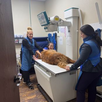 AV Veterinary Center - Veterinarians Near Me - Lancaster, California AV Veterinary Center - Veterinarians Near Me - Lancaster, California