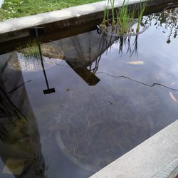 Musée et jardins botaniques