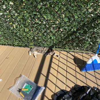 4GC Decks - Our cat enjoying her beautiful new balcony. - Decks & Railing Near Me