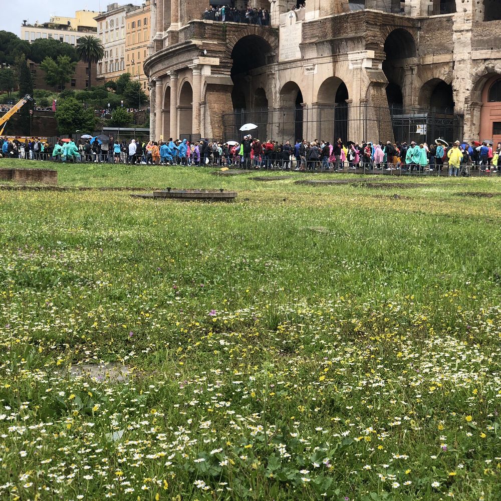 Colosseo - Outside - Local Flavor Near Me - Rome, RM