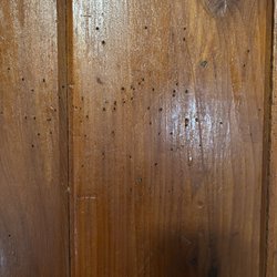 Island View Cottages - So many holes in the wall