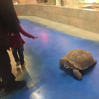 SeaQuest - Utah - Aquariums Near Me - Layton, Utah SeaQuest - Utah - Aquariums Near Me - Layton, Utah