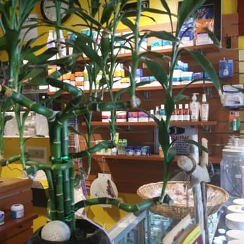 Essential Herb N Juice Cafe - a bamboo plant - Coffee & Tea Near Me - Dorchester, Massachusetts Essential Herb N Juice Cafe - a bamboo plant - Coffee & Tea Near Me - Dorchester, Massachusetts