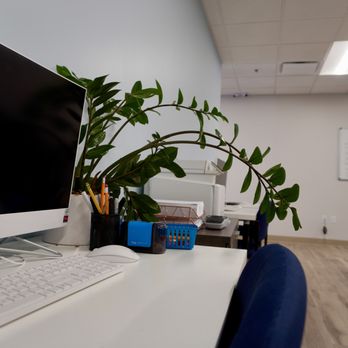 Evolve Teen Treatment Centers - Counselors help teens stay on task during school time. - Counseling & Mental Health Near Me - Del Mar, California Evolve Teen Treatment Centers - Counselors help teens stay on task during school time. - Counseling & Mental Health Near Me - Del Mar, California