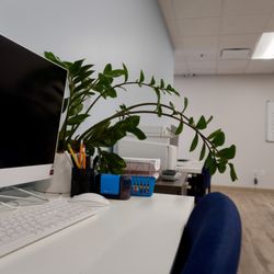 Evolve Teen Treatment Centers - Counselors help teens stay on task during school time.