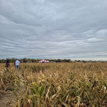 Mile High Farms - 10.16.22 - Corn Maze - Pumpkin Patches Near Me - Bennett, Colorado Mile High Farms - 10.16.22 - Corn Maze - Pumpkin Patches Near Me - Bennett, Colorado
