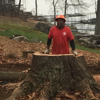 Affordable Tree Service - Tree Services Near Me - Tuscumbia, Alabama Affordable Tree Service - Tree Services Near Me - Tuscumbia, Alabama