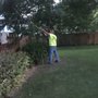 Photo of Montana Tree Service Plus