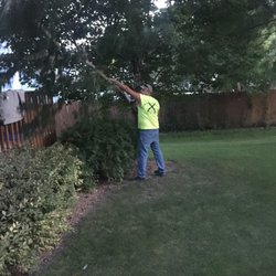 Montana Tree Service Plus - Trimming trees
