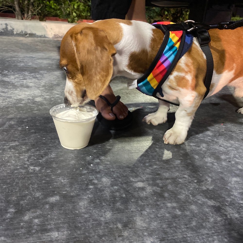 Sonic Drive-In - Soft serve dish - Burgers Near Me - Fullerton, California Sonic Drive-In - Soft serve dish - Burgers Near Me - Fullerton, California