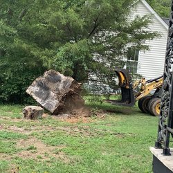 Chads Stump Grinding