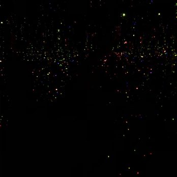 Phoenix Art Museum - Kusama's Fireflies - Art Museums Near Me - Phoenix, Arizona Phoenix Art Museum - Kusama's Fireflies - Art Museums Near Me - Phoenix, Arizona