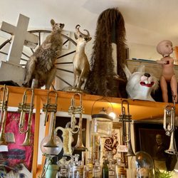 Woolly Mammoth Antiques, Oddities & Resale - Woolly Mammoth