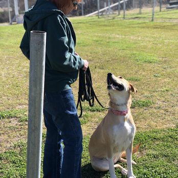 Hillside K9 Academy - Pet Training Near Me