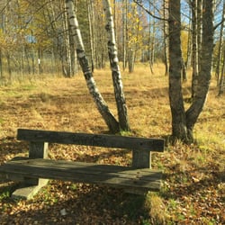 Lambertseterparken - Benkene kan trenge utskifting