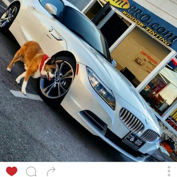 AcutintPro - BMW Z4 with windshield tinting for the ultimate comfort - Car Window Tinting Near Me - Upland, California