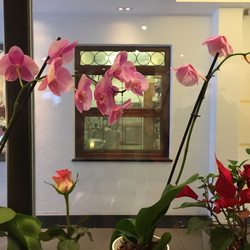 Lucki's - My orchids never look this nice.