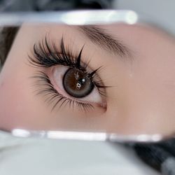 Lash Lush