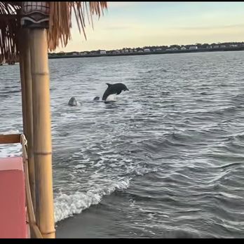 Tiki't Easy - Boat Tours Near Me Tiki't Easy - Boat Tours Near Me