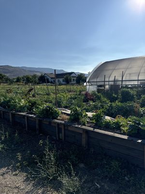 Reno Food Systems by null