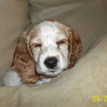Quality Mobile Automotive Repair - My baby Lily a LONG time ago - Auto Repair Near Me